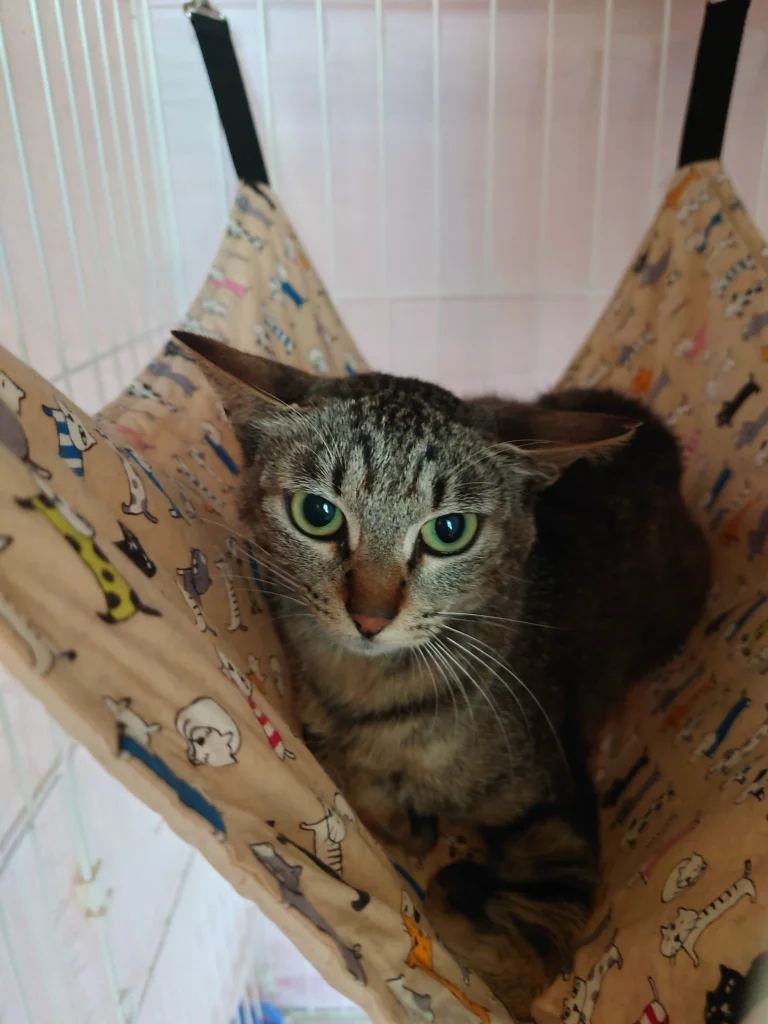 週末セ−ル シルバー925 多色ストーンリングセット 30個 訳ありアウトレット】, image size:768x1024